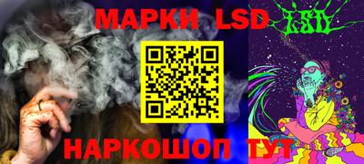 прущие крисы Гатчина