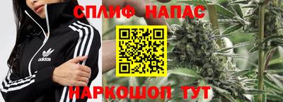 прущие крисы Гатчина