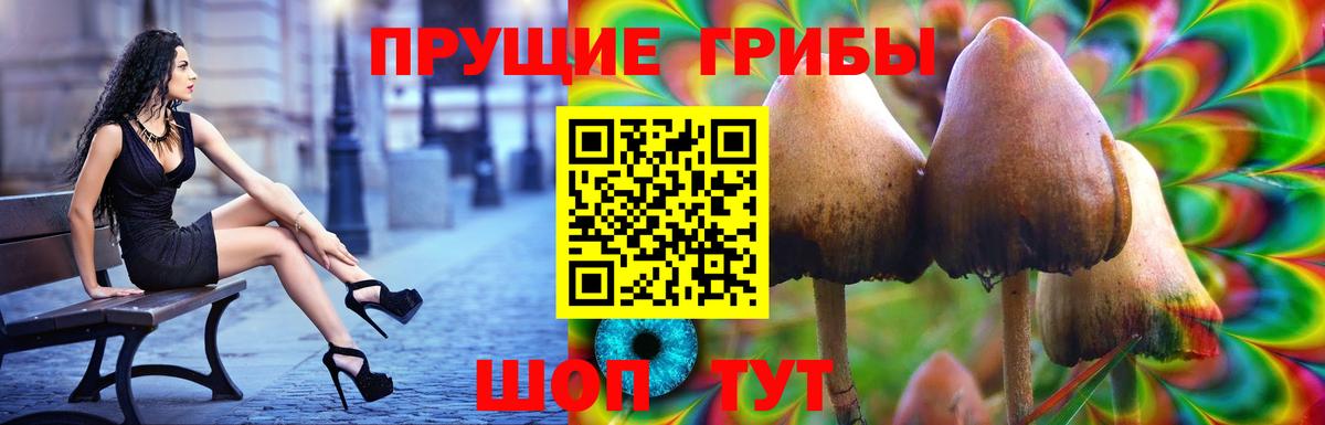 Галлюциногенные грибы Magic Shrooms  Вход с VPN  Псилоцибиновые грибы Psilocybine cubensis  Сухой Лог 